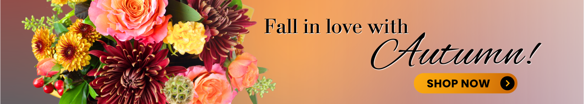 Local Fall flowers delivered in DC, Maryland, and Virginia